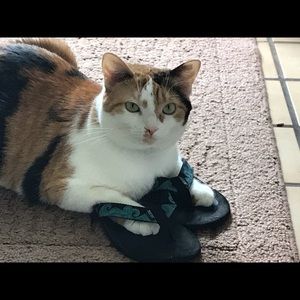 Meet your Posher, Eileen